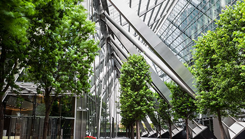 Healthy green trees line the interior glass walls of a modern office building. Healthy green trees line the interior glass walls of a modern office building.